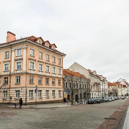 Spacious Luxury City Hall * Vilnius