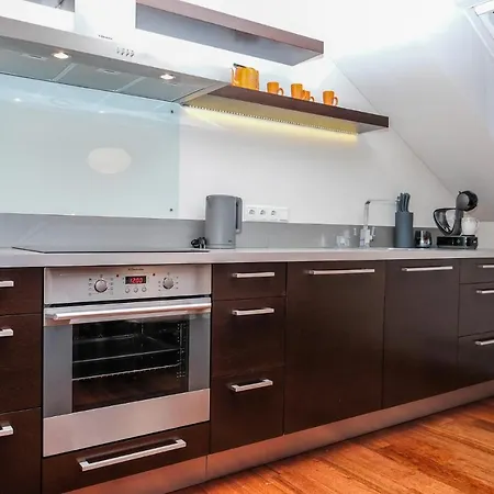 Spacious Luxury City Hall Apartman Vilnius